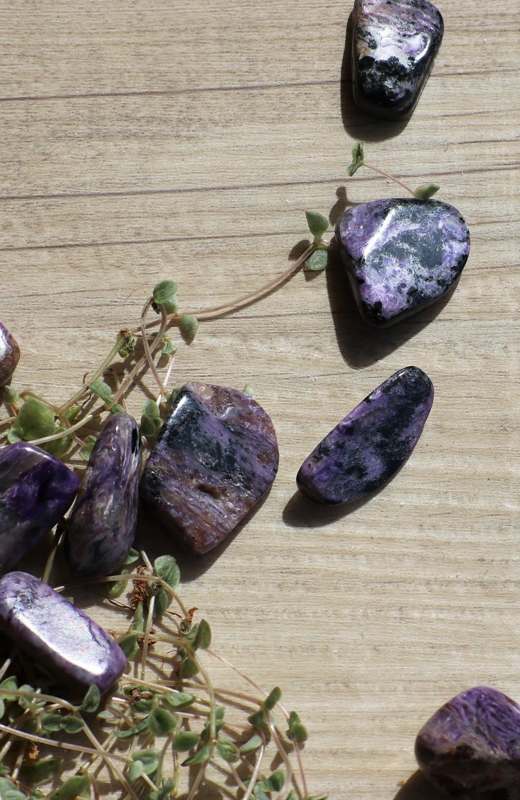 Charoite AA Tumbled Stone